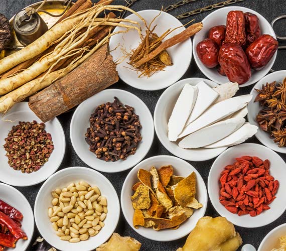 漢方薬を用いた治療にも対応